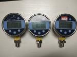 High Accuracy Digital gauges