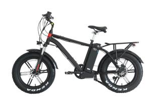 China 20&quot; High Speed Ebike , Delivery Electric Bike 45kms Duration wholesale
