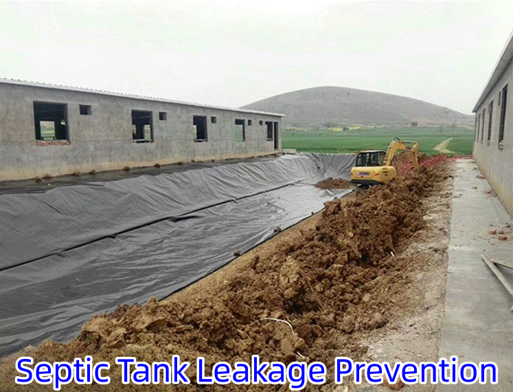 50m-100m/roll Length Anti-Aging Geomembrane for Fish Ponds Online Technical Support