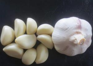 China Spicy White Garlic Natural Agricultural Products wholesale