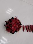 Delicious Tianjin Red Chilies Barbecue Dried Chile De Arbol Peppers