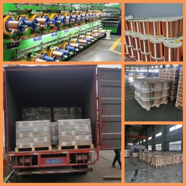 Sample Available Magnet Wire 0.04mm--5.00mm Enameled Copper Wire Coil for Transformer