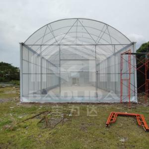 China High Tunnel Greenhouse With Durable Steel Structure For Farming wholesale