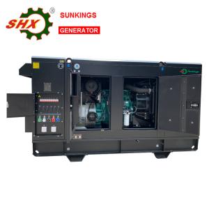 China 250kva Diesel Electric Plant Generador Electrico Electric Generator wholesale