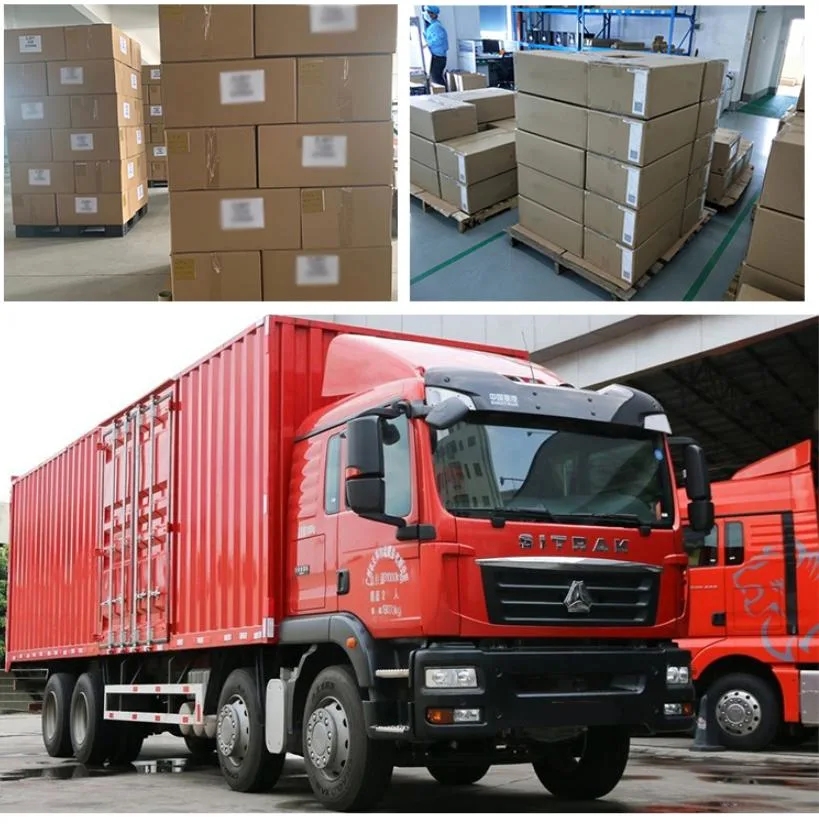 Half Hard Pure Copper C10100 C10300 C11000 C12200 Copper Foil/Strip Tape in Coil with 99.9% Purity and ISO9001 Certified