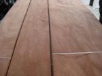 Sliced Natural Sapele Pommele Wood Veneer Sheet
