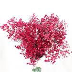 Multicolor Beautiful Dried Flowers Baby'S Breath Wedding Table Decorations