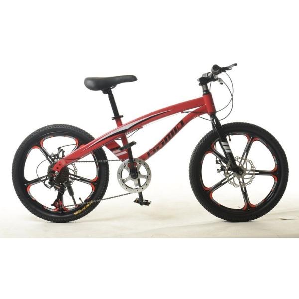 Ordinary Pedal Kids' Bike Carbon Steel Frame Children Mountain Bicycle