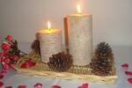3X4"3X6" inch 100% natural bark decor candle with growth ring