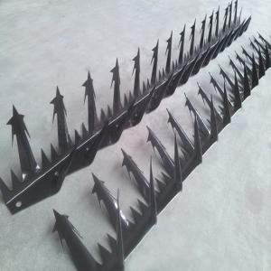 China Galvanized AISI430 AISI304 Anti Climb Razor Spikes 64-100mm Length wholesale