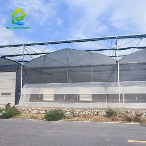 China Commercial Agricultural Multi Span Plastic Film Greenhouse With Shade Net wholesale