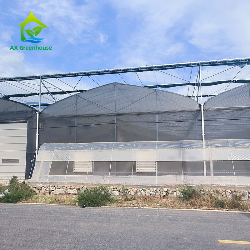 Galvanized Steel Frame PE Plastic Film Greenhouse For Agriculture Low Cost Tunnel