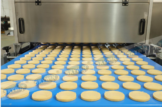 Automatic Cookies Production Line Cookie And Biscuit Making Machine Domestic