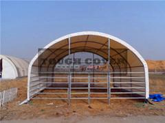 China Low cost, Easy to assemble, 6.0m(20')wide Cattle Barns, Livestock Housing on sale