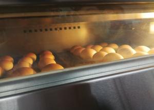 China 12kw Gas Bakery Deck Oven Electric Steam Stone Double Deck Four Trays wholesale