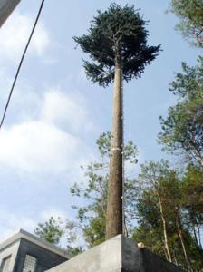 China Communication Pine Palm Tree 50m Camouflage Cell Tower wholesale