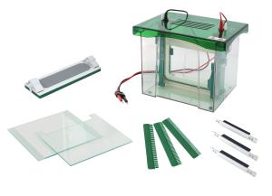 China Abundant Buffer Vertical Gel Electrophoresis Equipment CE / ISO Approved wholesale