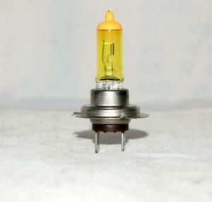 China H7 BULBS wholesale