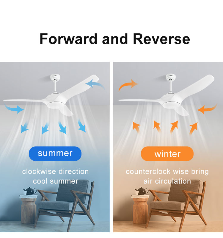 Smart Ceiling Fan with Light and Remote Control 1stshine Fashion Design 3 ABS Blades