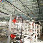 Hot Dip Galvanized Steel Poultry Farming Cage Automatic Meat Broiler Battery