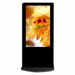 USB Auto Updates Advertising Kiosks Displays , Multimedia Touch Screen Display