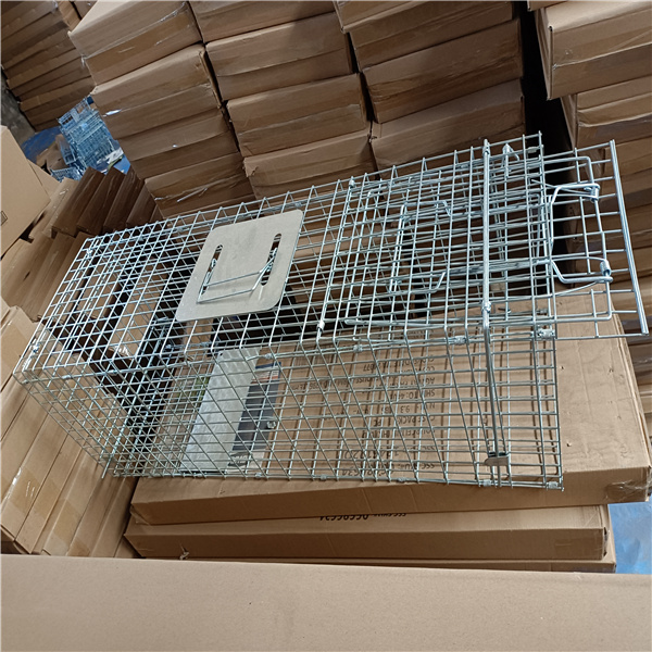 2mm Dia Live Cage Traps Galvanized Or Pvc Coated