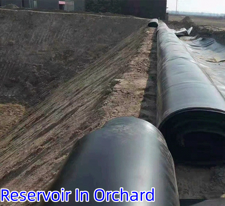 50m-100m/roll Length Anti-Aging Geomembrane for Fish Ponds Online Technical Support