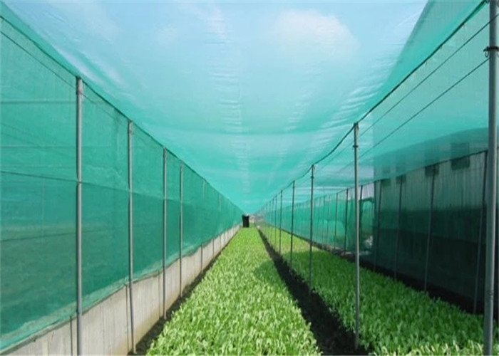 1/6 Plastic Window Screen Mesh Net / 2x30m Wind Block Dust Proof Mesh