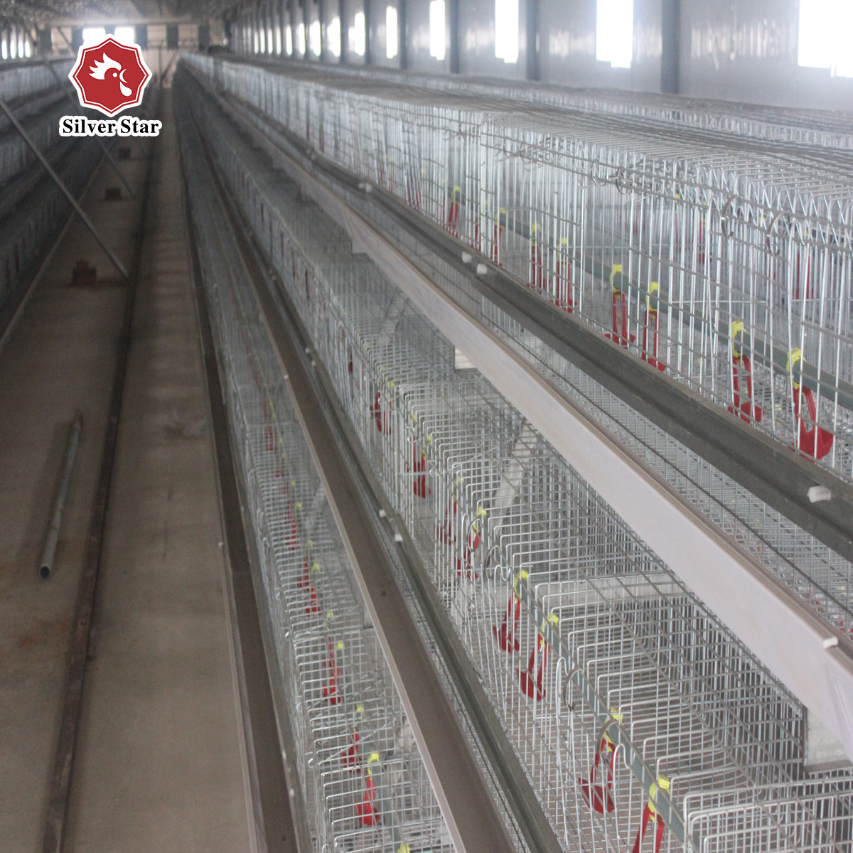 60-120 Days Baby Chick Cage Galvanized Multi Poultry Broiler Cage Chicken Raising