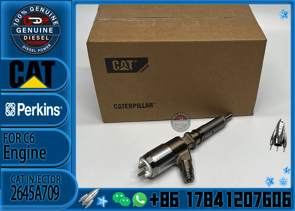New Diesel Fuel Injectors nozzles 321-0990 2645A743 10R-7668 2645A705 2645A709 injector for Caterpillar C6.6 Perkins 110