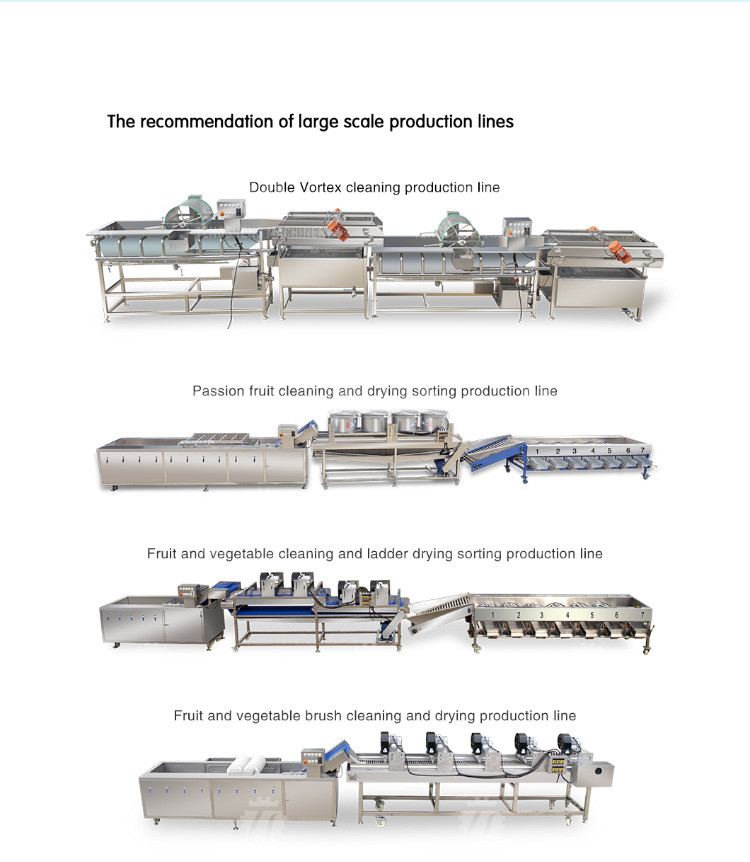 1000KG/H Supply of eddy current washing machine commercial fruit and vegetable washing machine drain spray vortex out
