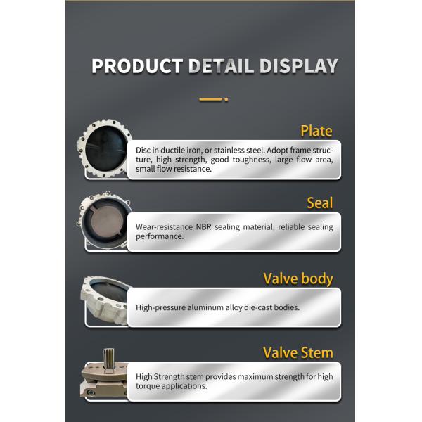 VFS Series DN250 Pneumatic Drive Butterfly Valve for Powdery and Granular Materials