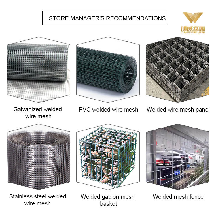 Heavy Duty Coated Welded Wire Mesh Fixing Type PVC 19 Gauge Welded Wire Mesh Long Lifespan