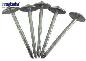 China Q195 / Q235 Twisted Shank Umbrella Roofing Nail Carbon Steel wholesale