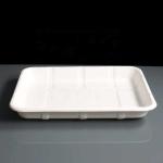 Eco-Friendly Wholesale Bio Disposable Sugarcane Food Container Snack Cookie