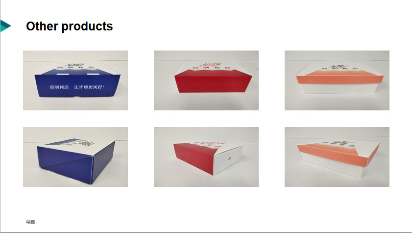 SGS Shoe Plastic Corrugated Foldable Boxes 250*150*60mm