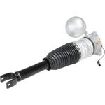 Bentley VW Volkswagen Struts Rear R Phaeton Air Suspension 3D0616002J