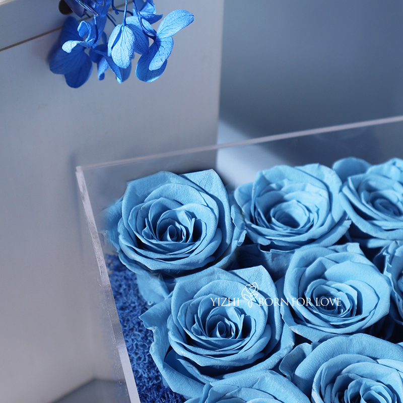 Acrylic Blue Exquisite Nine Eternal Roses Preserved Flowers For Valentine'S Day Gift