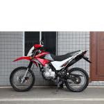 Racing bike dirt bike 150cc/200cc/250cc for adults