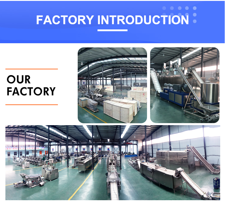 Low Energy High Speed Pasta Macaroni Wheat Flour Making Processing Machine for Home