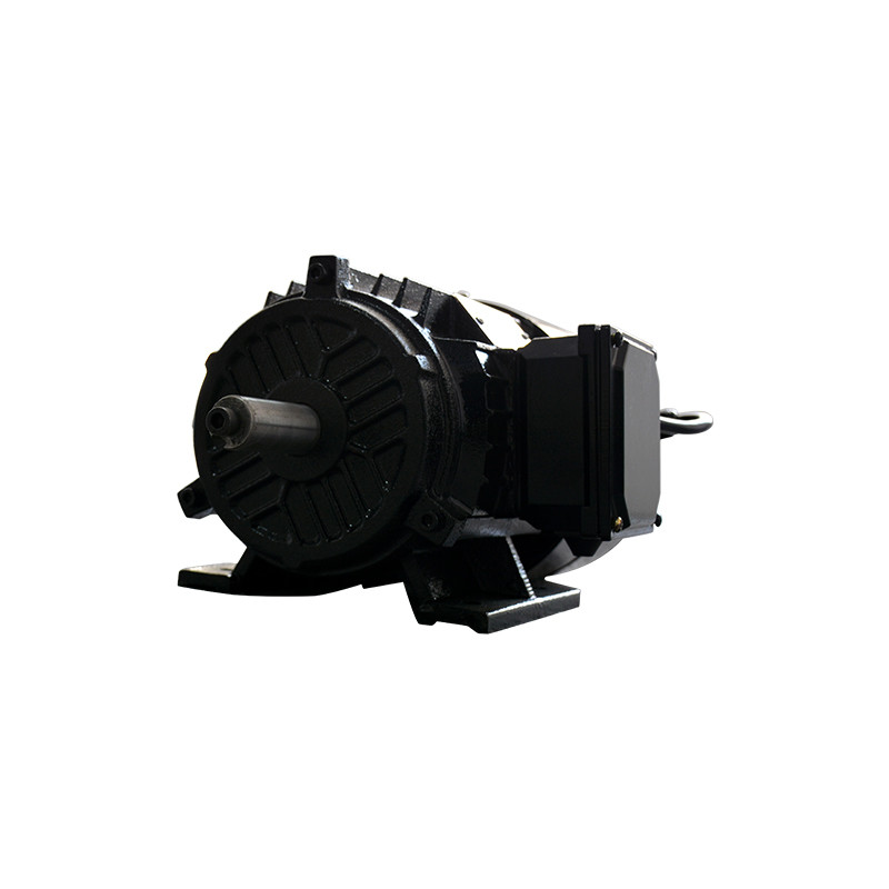 100 To 200Hz Permanent Magnet Synchronous Motor Perpetual Magnetic Motor 380V
