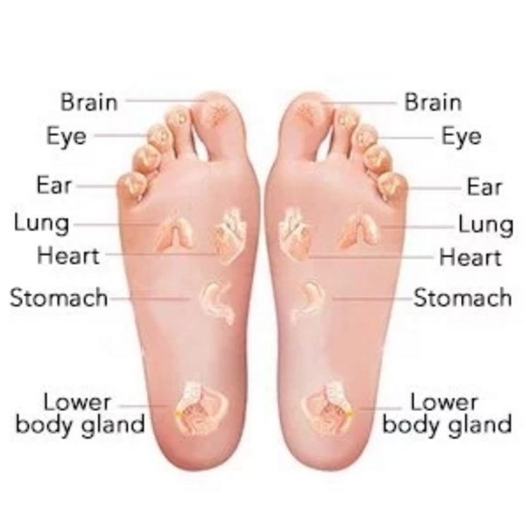 Golden ABS Pulse Air Compression Shiatsu Foot Massager With Three Strength