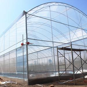 China Poly Tunnel Plastic UV Resistant Film Tomato Herb Hydroponic Single Greenhouse wholesale