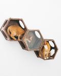 Hexagon Modern Pet Furniture Cat Wall Shelf 50lb Bearing Cat Cave Bed Cat