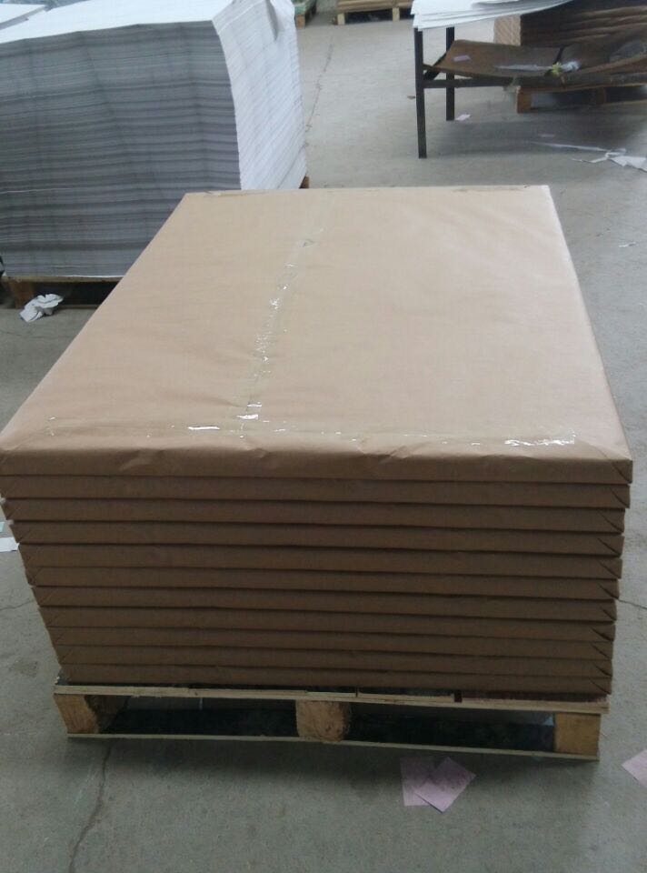 Office Paper Roll CF/CFB/CB Carbonless Paper for Clear and Legible Copies