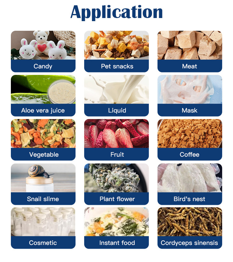 Multi-Function Lab Commercial Vegetable Snack 60KG Vacuum Freeze Dryer Lyophilizer Machine