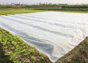 China Shading , Reduce to Water Evaporation PP Nonwoven for Agricultural wholesale