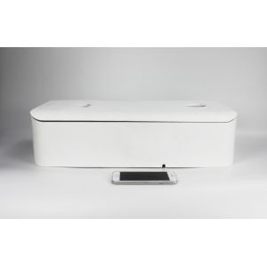 118 CFM Wall Mounted ERV