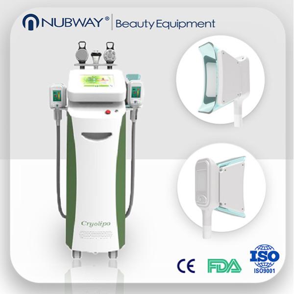 China Vertical Cryolipolysis machine therapy venus cryolipolysis fat freezing machine wholesale