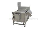 Single Bucket Air Bubble Vegetables Washing Machine 70L